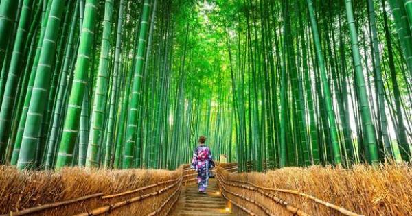 **Beyond the Horizon: Kuoni Unlocks Worldly Escapes Combining Cruise & Culture**