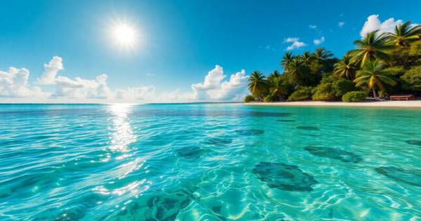 **Caribbean Hosts Direct Booking Summit: A Shift in Travel Power Dynamics**