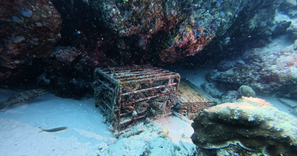 **Dive Into Luxury: Maldives Resort Unveils World's First Certified Underwater Residence**