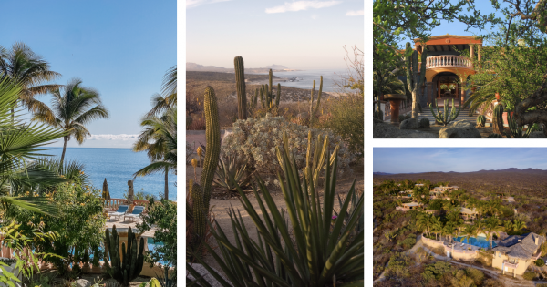 **East Cape Secret Unveiled: La Valise Los Cabos – A Family Legacy of Art & Serenity**