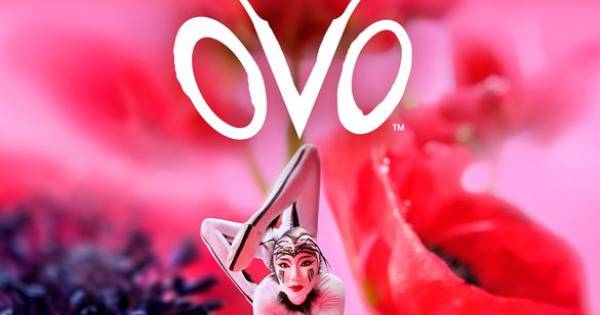 **Eight Years in the Making: Cirque du Soleil's 'Ovo' Fluttering Back to Royal Albert Hall**