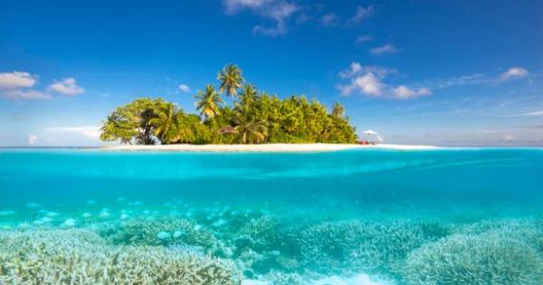 **Maldives & Mars: A Cosmic Collaboration to Save Coral Reefs**