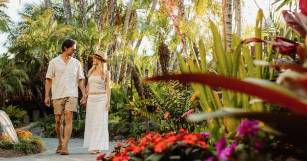 **Ocean Whispers & Palm Shadows: San Diego's Exclusive Beachfront Sanctuary**