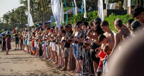 Seminyak Resort Celebrates Milestone: Olive Ridley Turtle Hatchlings Released into the Ocean