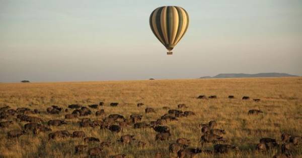**Serengeti's Soul: Four Seasons Offers Unrivaled Immersion in the Great Migration**