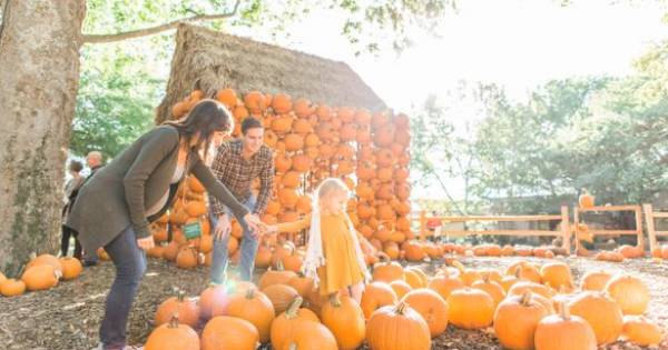 Tennessee's Autumn Awakening: A Season of Color, Campfires, and Spooky Delights
