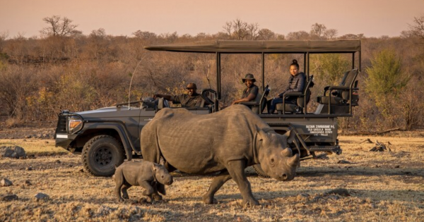 **Victoria Falls & Big Five: Anantara's Untamed Luxury Awaits**