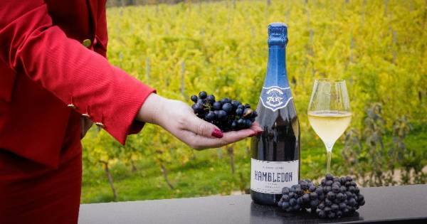 **Virgin Atlantic Cultivates a Taste of British Brilliance: A Sparkling Future Awaits**