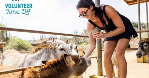 Aruba Embraces Purposeful Travel: A New Era of Voluntourism in the Caribbean