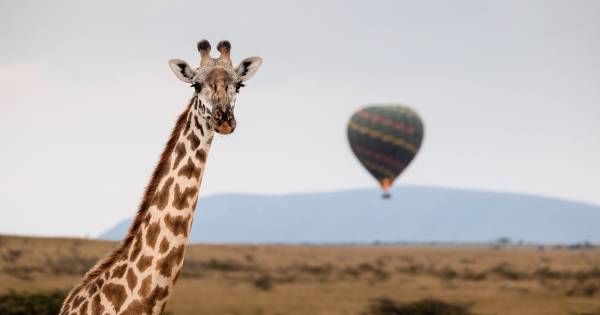 Hemingways Collection Unveils New Sanctuary in the Heart of the North Mara